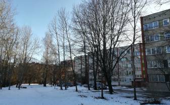 Paziņojums par koku ciršanas ieceri sakarā ar būvprojekta „Auto stāvlaukuma pārbūve Jātnieku ielā, zemes gabalā ar kadastra Nr. 05000052826, Daugavpilī”, īstenošanu