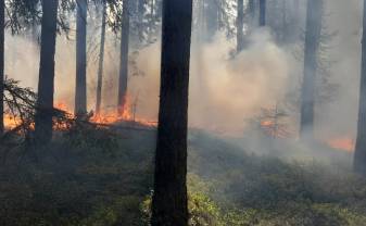 Valsts meža dienests brīdina: mežos palielinās ugunsbīstamība