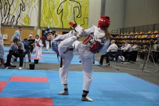 28.janvārī notika tradicionālais starptautiskais taekvondo turnīrs ''Daugavpils kauss 2017''