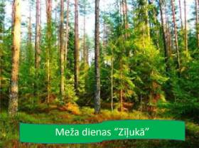 Meža dienas «Zīļukā”