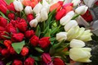 Даугавпилсская городская дума сердечно поздравляет всех женщин с красивым весенним праздником 8 Марта! (видео)