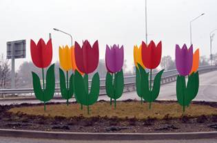 Par prieku visām sievietēm Daugavpilī uzziedējušas tulpes un krokusi